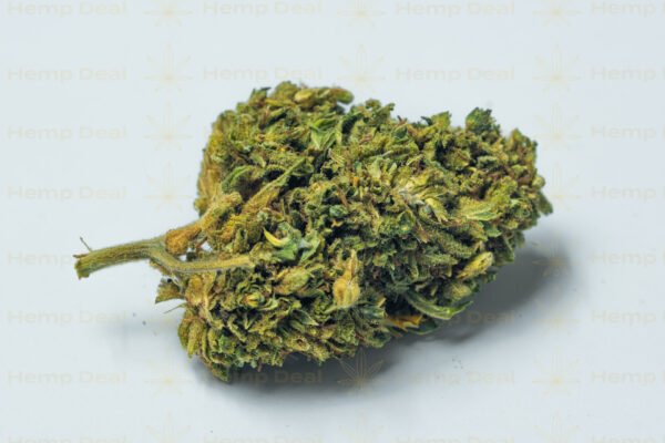 Susz Konopny Lemon Haze